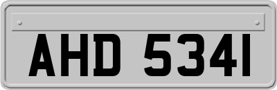 AHD5341