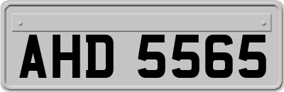 AHD5565