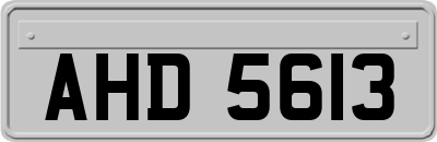 AHD5613