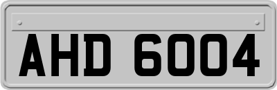 AHD6004