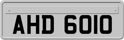 AHD6010