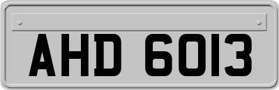 AHD6013