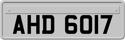 AHD6017