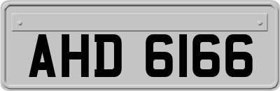 AHD6166