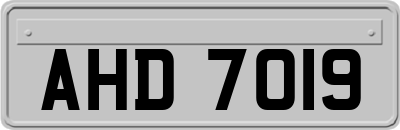 AHD7019