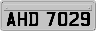 AHD7029
