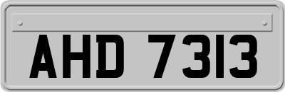AHD7313