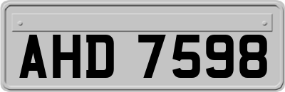 AHD7598