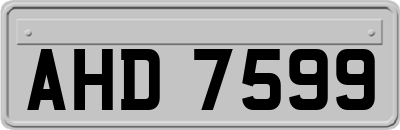 AHD7599