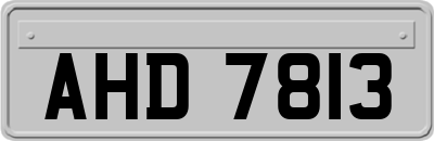 AHD7813