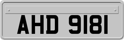 AHD9181