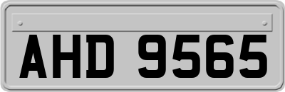 AHD9565