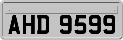 AHD9599