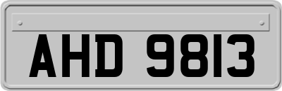 AHD9813