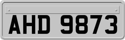 AHD9873