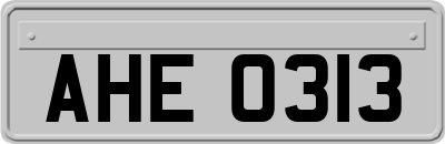 AHE0313
