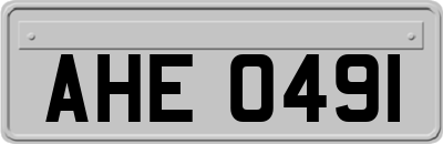 AHE0491