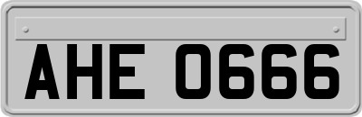 AHE0666