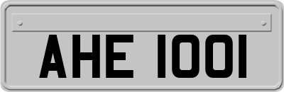 AHE1001