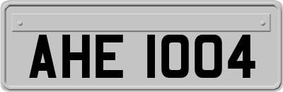 AHE1004