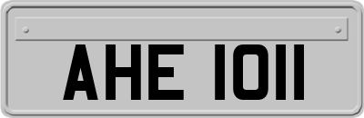 AHE1011