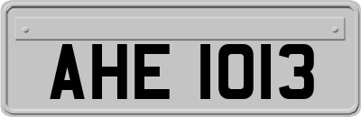 AHE1013