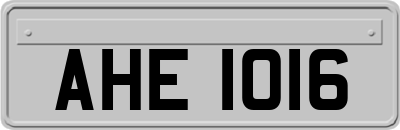 AHE1016