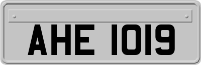 AHE1019