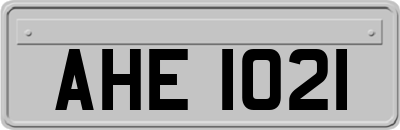 AHE1021