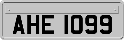 AHE1099