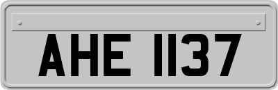 AHE1137