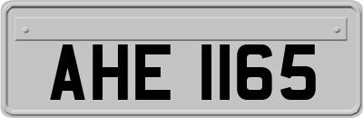 AHE1165