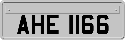 AHE1166