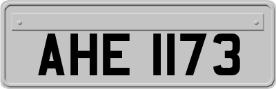 AHE1173