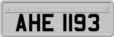 AHE1193