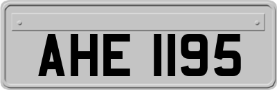 AHE1195