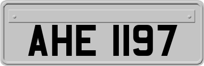 AHE1197