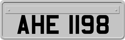 AHE1198