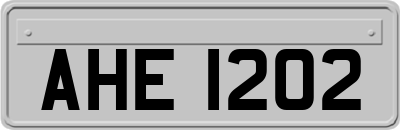 AHE1202