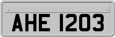 AHE1203