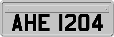 AHE1204