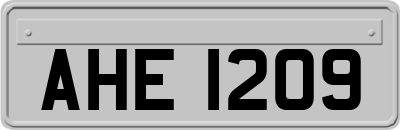 AHE1209