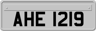 AHE1219
