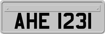 AHE1231
