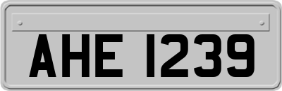 AHE1239
