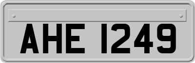AHE1249