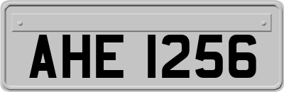 AHE1256