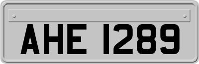 AHE1289