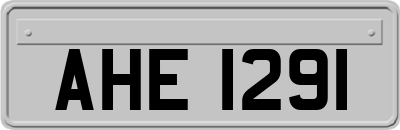AHE1291