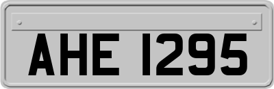 AHE1295